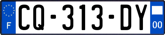 CQ-313-DY