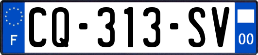 CQ-313-SV