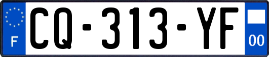 CQ-313-YF