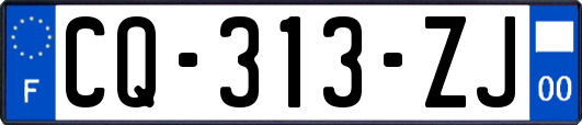 CQ-313-ZJ