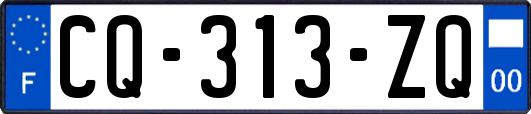 CQ-313-ZQ