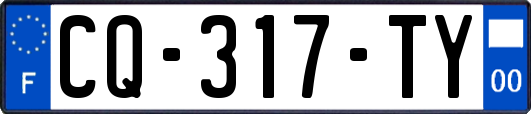 CQ-317-TY