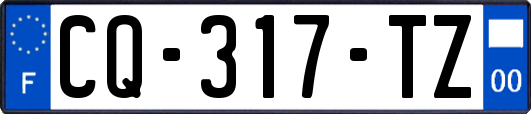 CQ-317-TZ