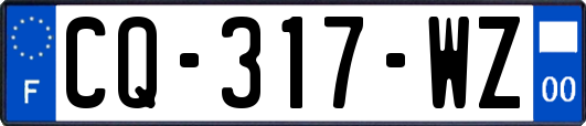 CQ-317-WZ