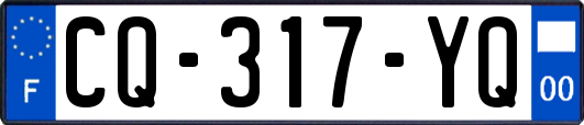 CQ-317-YQ