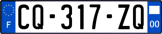 CQ-317-ZQ