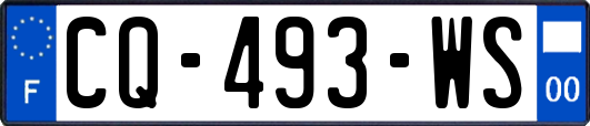 CQ-493-WS