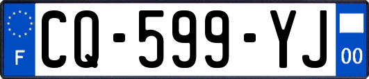 CQ-599-YJ