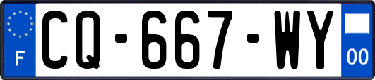 CQ-667-WY