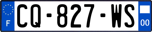 CQ-827-WS