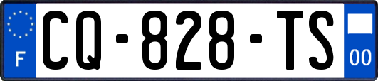 CQ-828-TS