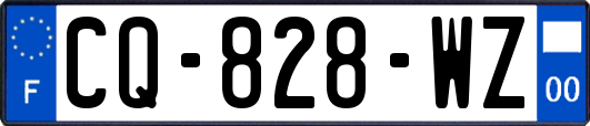 CQ-828-WZ