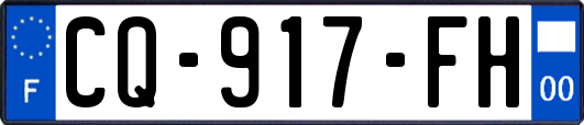 CQ-917-FH