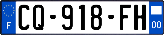 CQ-918-FH