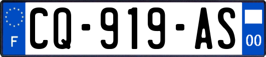 CQ-919-AS