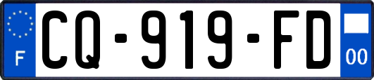 CQ-919-FD