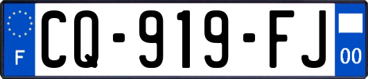 CQ-919-FJ