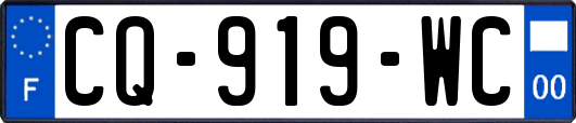 CQ-919-WC