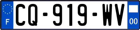 CQ-919-WV