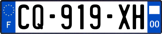 CQ-919-XH