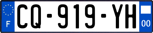 CQ-919-YH