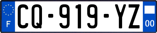 CQ-919-YZ