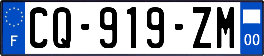 CQ-919-ZM