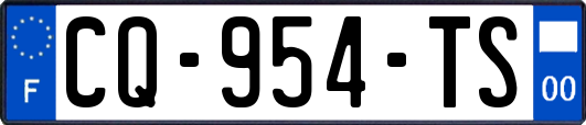 CQ-954-TS
