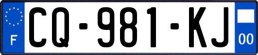 CQ-981-KJ