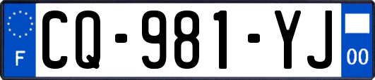 CQ-981-YJ