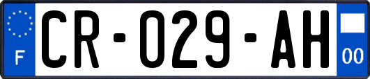 CR-029-AH