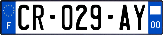 CR-029-AY