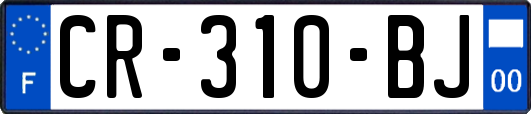 CR-310-BJ