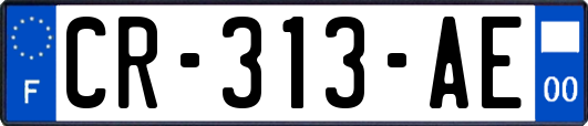 CR-313-AE