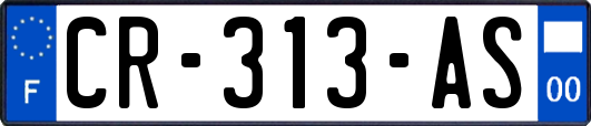 CR-313-AS