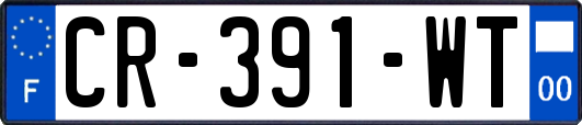 CR-391-WT