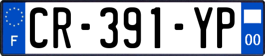 CR-391-YP