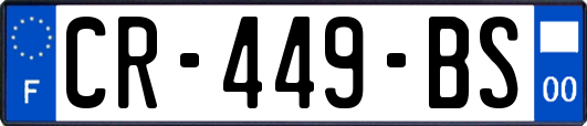 CR-449-BS