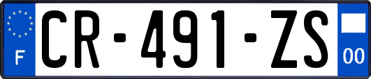 CR-491-ZS