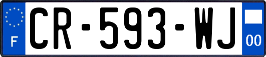 CR-593-WJ