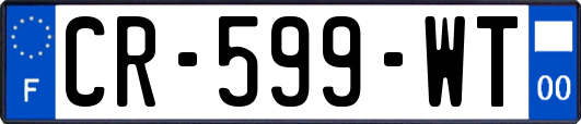 CR-599-WT