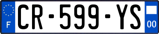 CR-599-YS