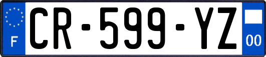 CR-599-YZ