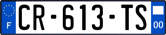 CR-613-TS