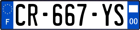 CR-667-YS