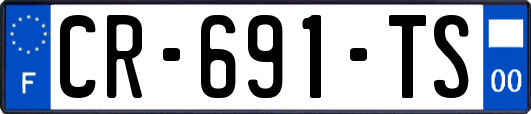 CR-691-TS