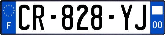 CR-828-YJ