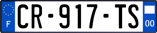 CR-917-TS