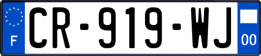 CR-919-WJ