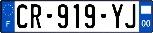 CR-919-YJ
